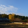 1211奈良公園2