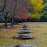 1211奈良公園4