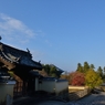 1211奈良公園6