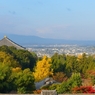 1211奈良公園8