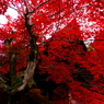 定光寺本堂(2012.11.18)