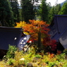 華厳寺(2012.11.24)