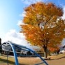 休日の公園
