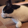 狙う　-1-