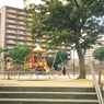 Solaris Summer ８