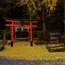 京都「岩戸落葉神社」
