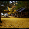 京都「岩戸落葉神社」