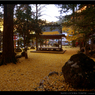 京都「岩戸落葉神社」