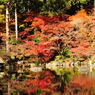 醍醐寺2012