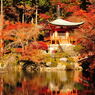 醍醐寺2012