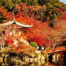 醍醐寺2012