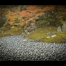 宝厳寺の庭