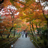 紅葉のトンネル
