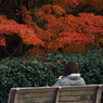 妻の背中
