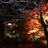 夜の明かり