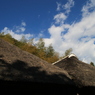 IMG_7260