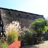 IMG_7239(1)