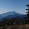 雁ヶ腹摺山（山頂）