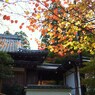 京都補完計画 其ノ伍拾