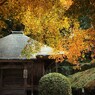 京都補完計画 其ノ伍拾壱