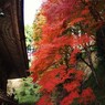 京都補完計画 其ノ伍拾肆