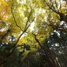 京都補完計画 其ノ伍拾陸
