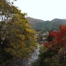 京都補完計画 其ノ伍拾玖