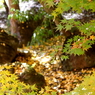 巌と紅葉