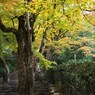 京都補完計画 其ノ陸拾