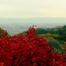 秋の遠景。