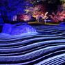 承天寺の庭（ブルーライト）