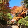 紅葉狩り