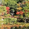 紅葉狩り