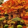 紅葉庭園