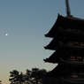 奈良の都