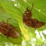 DSC00277