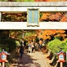 紅葉狩り
