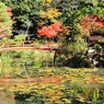 紅葉狩り