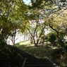 P1030684
