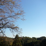 P1030744