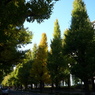 P1030751