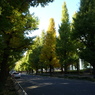 P1030752