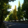 P1030753