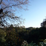 P1030709