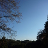 P1030718