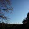 P1030719