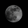 SDIM9092