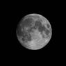 SDIM8981