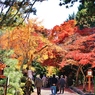 紅葉狩り