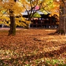 東福寺３